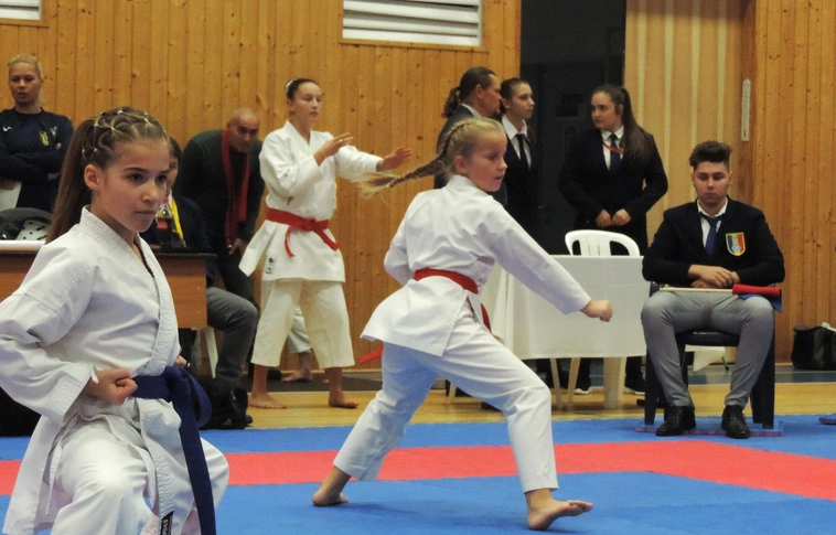 Kiemelt sportág lett a karate