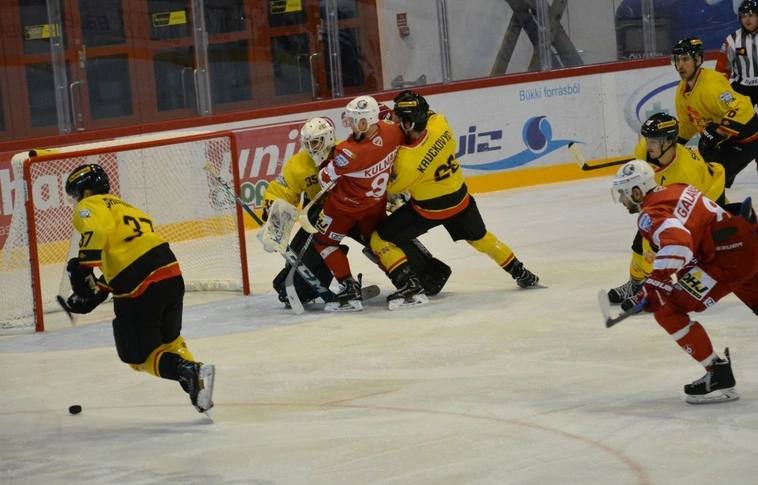 6-0! – Meggyőző fölénnyel nyertek Bécsben a „macik”