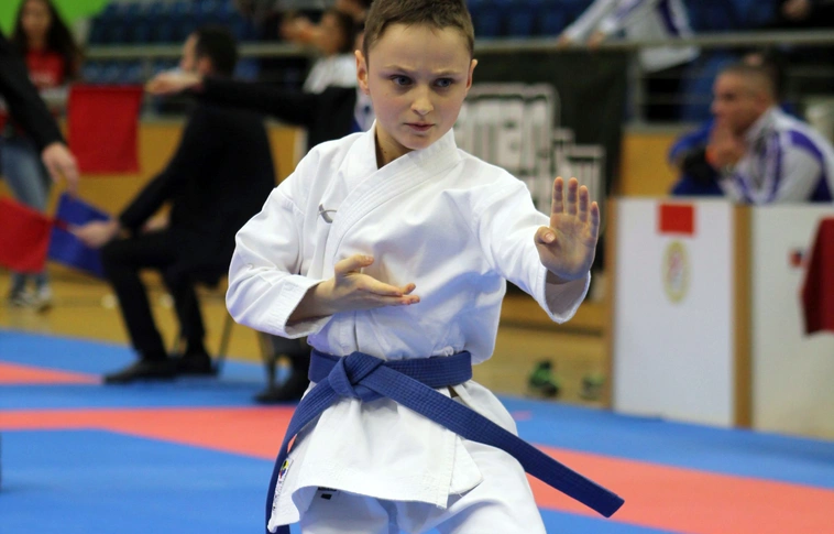 Tatami kupa nemzetközi megmérettetés