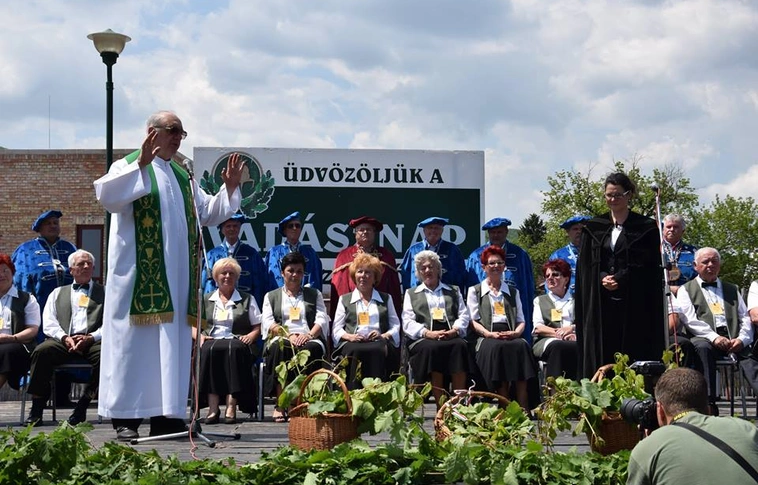 Magyar Szőlővirágzás Ünnepe