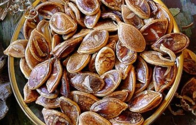 Azt hittük, elvesztettük. De nem! Újraélesztettek egy növényt.
