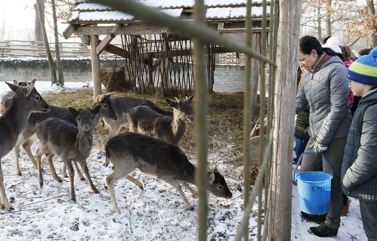 A magyar kultúra napján a medve sem aludt - látogatás a miskolci állatkertben