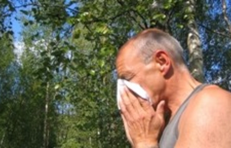 Fokozódik a virágzó fák pollenszórása