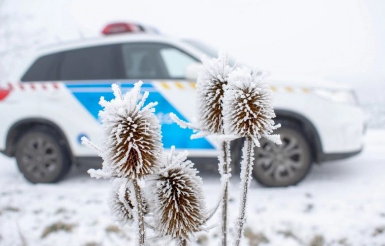 Egy éjszaka alatt megtalálták az eltűnt fiút