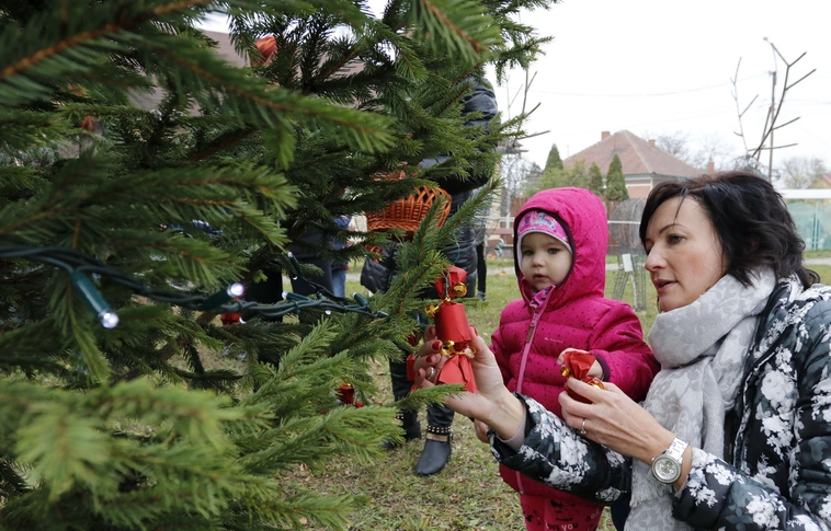Áll a karácsonyfa, kint vannak az új díszek Szirmán és Martin-kertvárosban