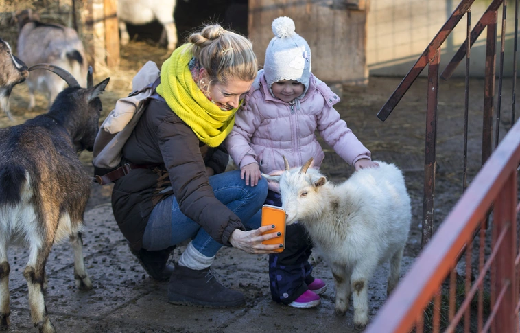 Az állatkertben minden nap karácsony (Képgalériával)