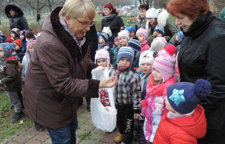 Ünnepi hangolódás: Karácsonyfát állítottak a Vologda-lakóparkban