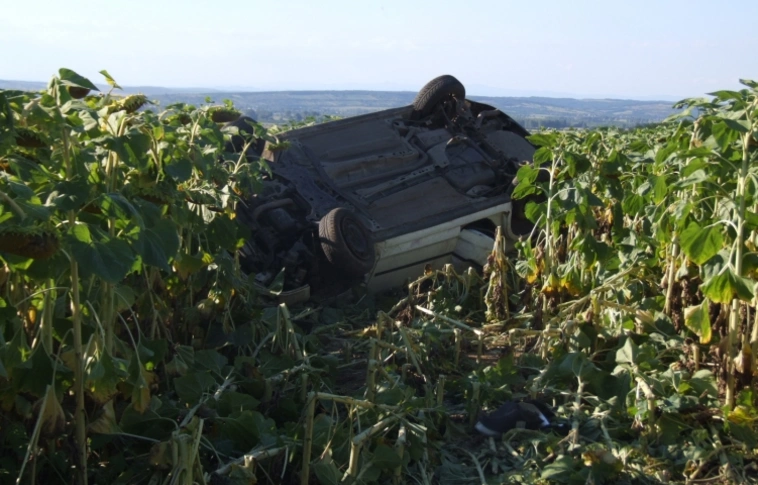 A napraforgó táblában, fejtetőre borulva állt meg az autó (Rendőrségi felvételek)