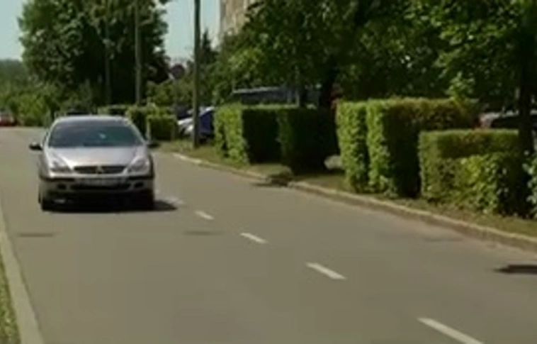 Balesetveszélyes a sövény a Középszeren
