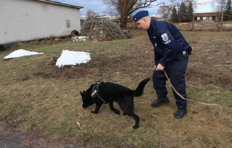 Jól vizsgázott Szomolyán a négylábú betörőriasztó!