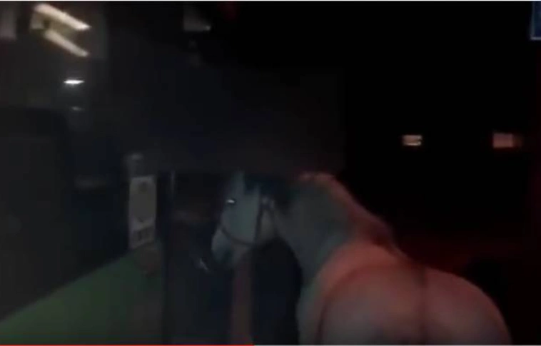 Lóval akart felszállni a buszra - nem Lyukóban történt! (Videó)