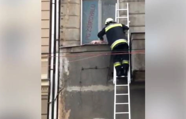 Létrás macskamentés Miskolc főutcáján