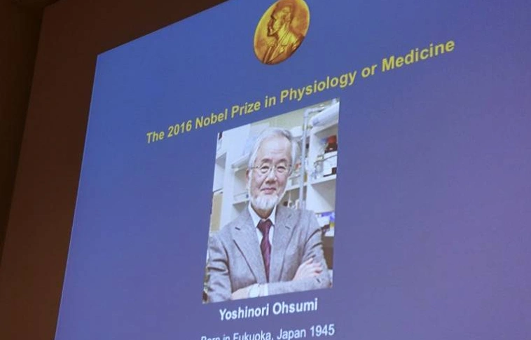 Japán tudós nyerte az orvosi Nobel-díjat