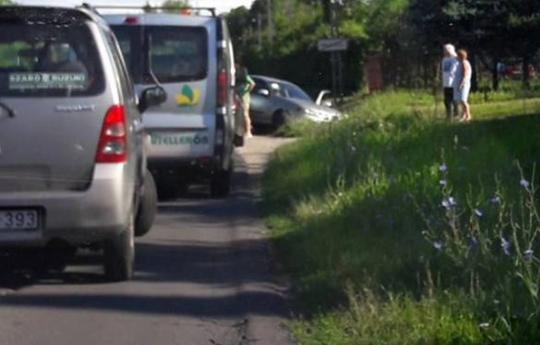 Kiskutyát gázolt, aztán összetört az autó