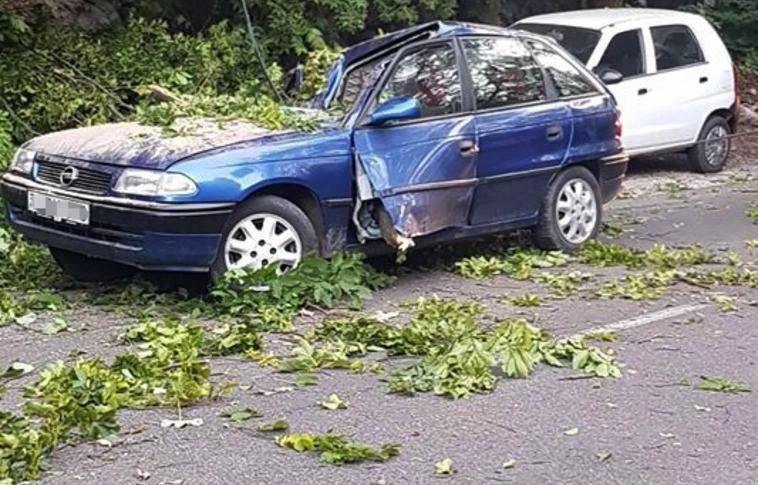 Odavert rendesen: ilyen állapotban szedték ki az autókat a fák alól Lillafüreden