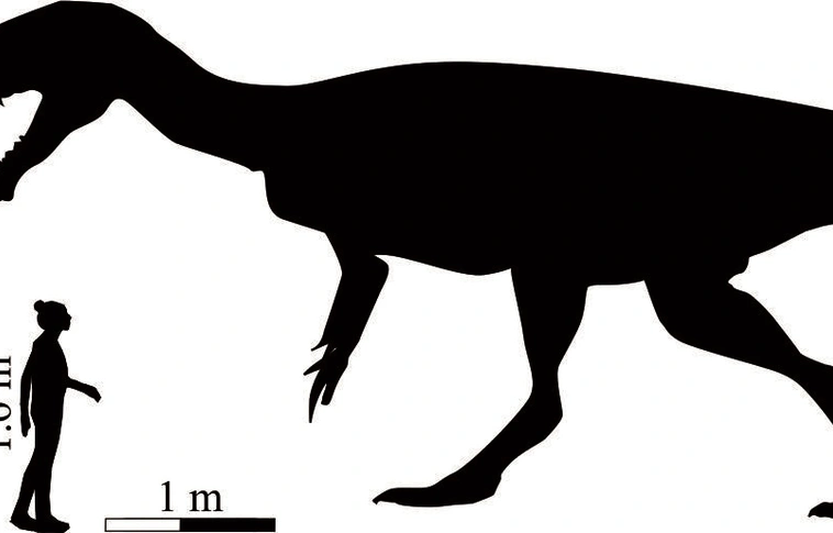 Hatalmas húsevő dinoszaurusz élt 200 millió évvel ezelőtt a mai Dél-Afrika területén 