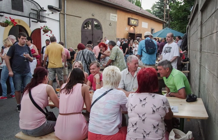 XIII. Fröccsfesztivál a Kisavason