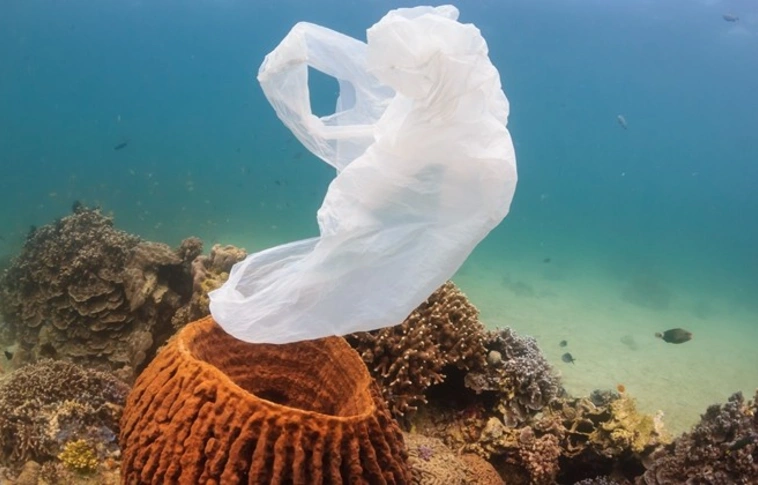 Betilthatják a műanyag szatyrokat