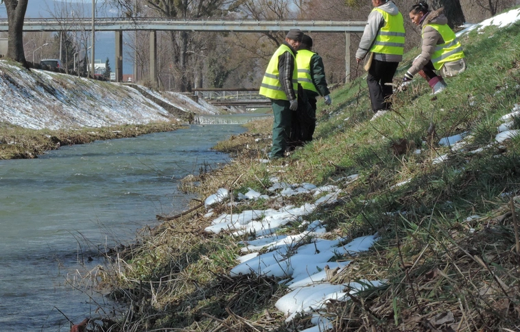 Gazdagodó élővilág, tisztább víz – A Szinvát ellenőrizték a Víz Világnapján