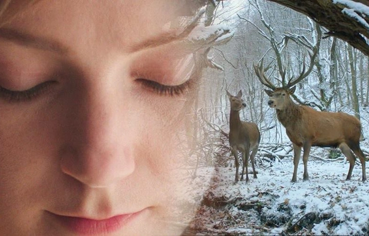 New Yorkban vetítik Enyedi Ildikó Oscar-esélyes filmjét