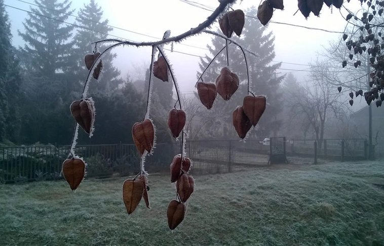 Milyen évszak is van? Fagyponthoz közelített a hőmérséklet Székelyföldön