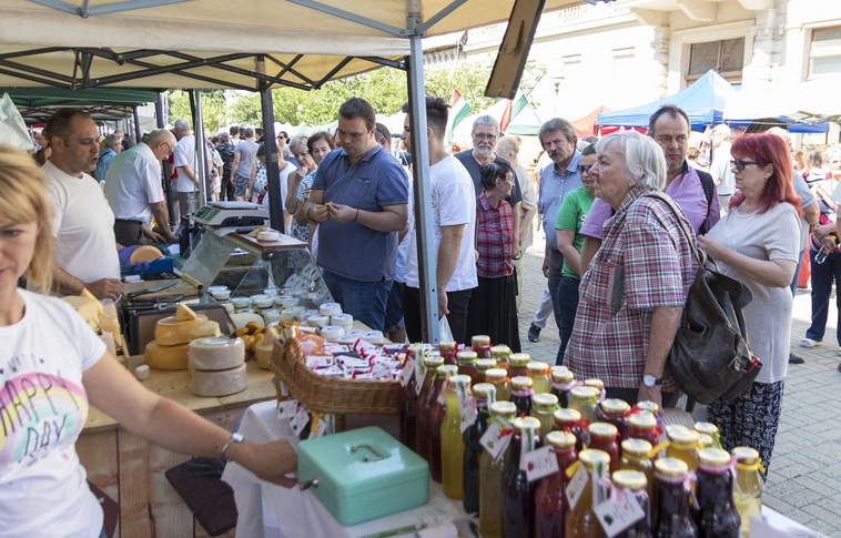 Lecsó, levendula, sajtok és mézek: boldog szülinapot Miskolci Termelői Nap!