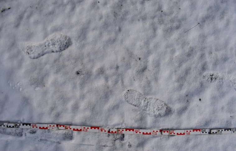 Letartóztatták a sorozatbetörőt