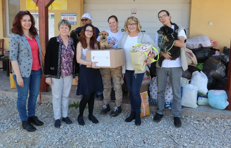 Egy hét alatt egy kisteherautónyi adományt gyűjtött a könyvtár a MÁSÁ-nak