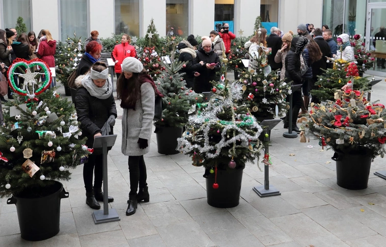 Ismét angyalok költöztek a városháza udvarára: 33 civil szervezet állította fel karácsonyfáját