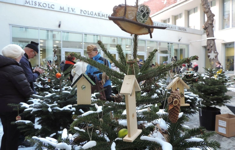 Szavaztak a látogatók az Angyalkert legszebb karácsonyfájára