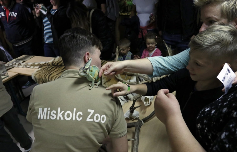 Holdfényes állatkerti séta – VII. Állatkertek Éjszakája Miskolcon (Képgalériákkal!)