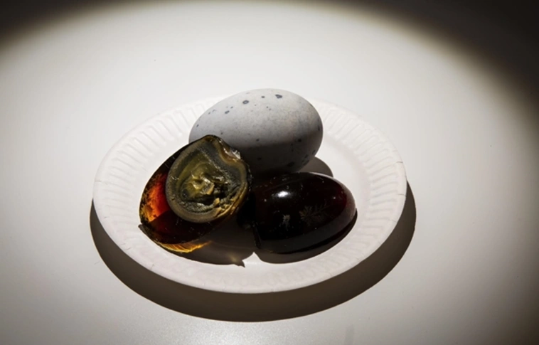 Gusztustalan ételeknek nyílt múzeum Malmöben