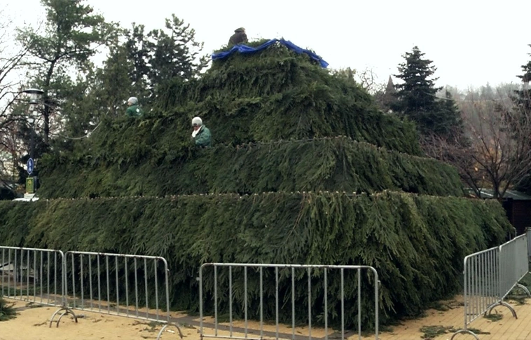 Idén még a karácsonyfa is életre és énekre kel Miskolcon (Videóval!)