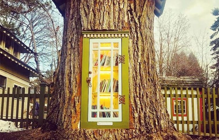 Ez nem mese! Mini könyvtár egy fa odvában (Videóval!)