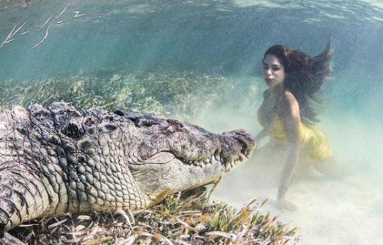 Ez komolyan megéri? Veszélyes hüllőktől hemzsegő vízben tartottak fotózást (Videóval!)