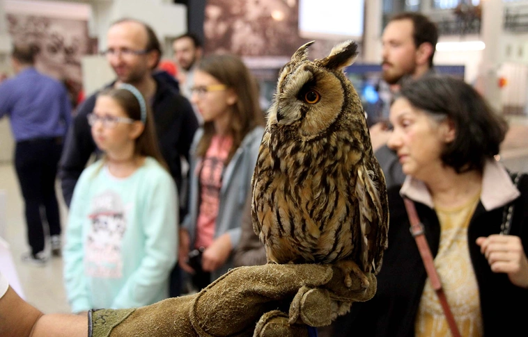 Madárcsicsergős Kutatók Éjszakája