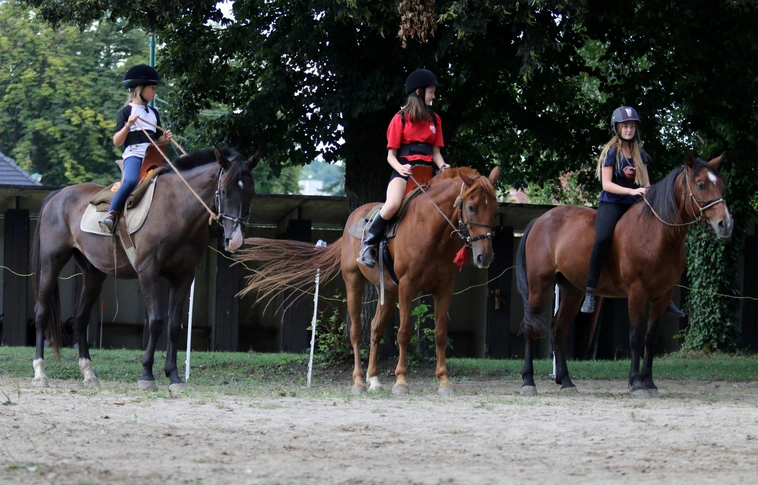 Megmutatták a fiatalok, mit tanultak a lovas-íjász napköziben (Képgalériával)