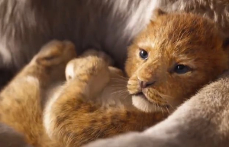 Íme, az "élőszereplős" Oroszlánkirály ízelítője (Videókkal!)