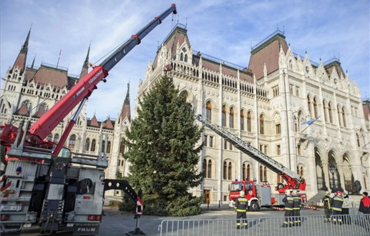 Ma állítják fel az ország karácsonyfáját a fővárosban