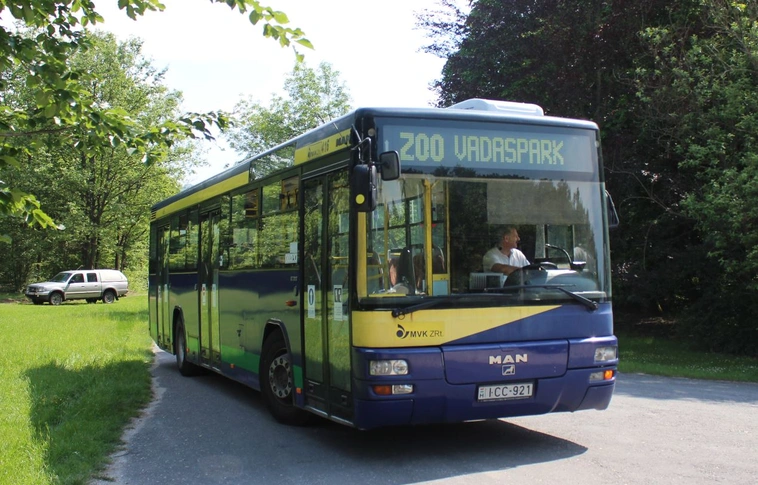 Módosított útvonal, több buszjárat – hétvégi változások a közösségi közlekedésben