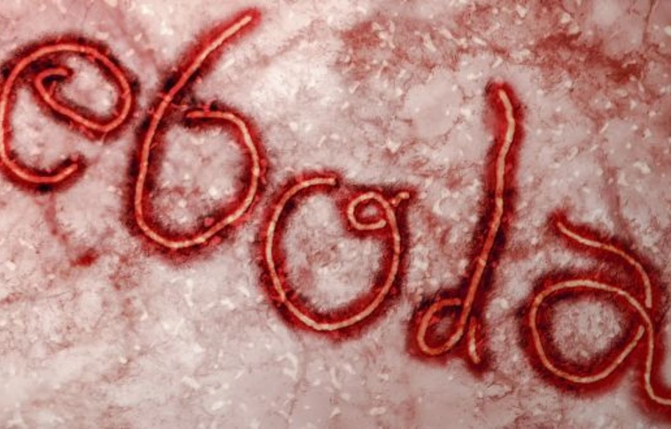 Az ebola terjedését modellezték szegedi matematikusok