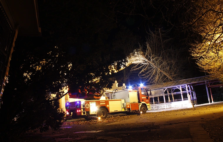 Rádőlt egy fa a lillafüredi állomásra