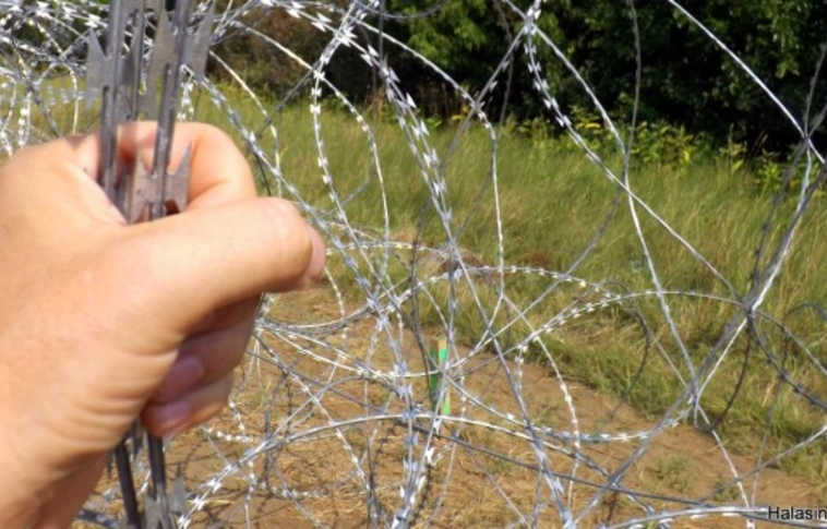Belgium migránsokat küld vissza Magyarországra