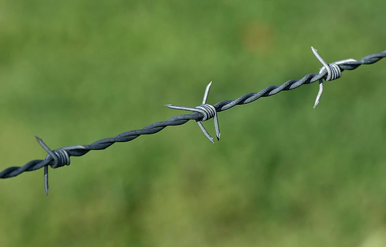 Meglőttek egy illegális migránst a magyar-szlovák határ szlovák oldalán