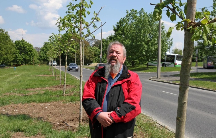 Az MSZP emblematikus alakja nem akar kigyúrt afrikai migránsokat - egy biztos, elmegy szavazni