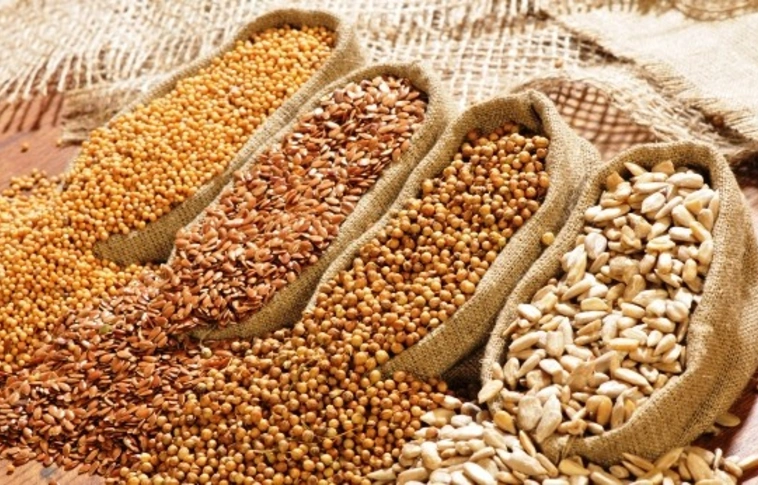 Az agrárkamara 5 százalékra csökkentené a gabonafélék áfakulcsát