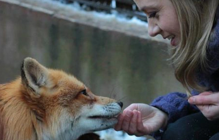 Seattle-ben kapott fesztiváldíjat a Liza, a rókatündér