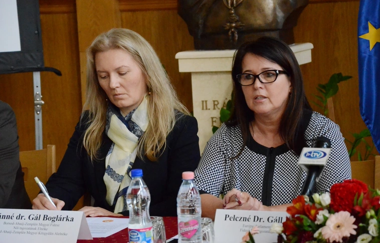 Ismét adománygyűjtő akcióba kezd a Fidesz női tagozata  