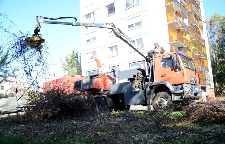 Legallyazták a fákat, megritkították az aljnövényzetet az Avasi lakótelepen