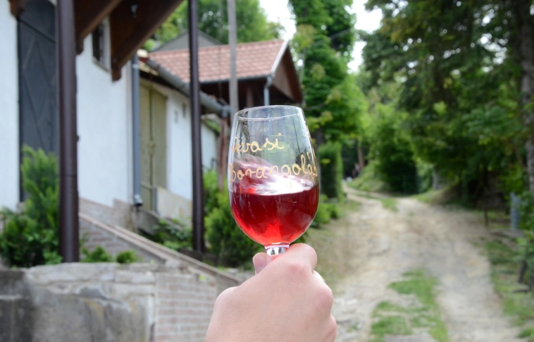 Filmek, borok és az Avas találkozik a CineWine-on